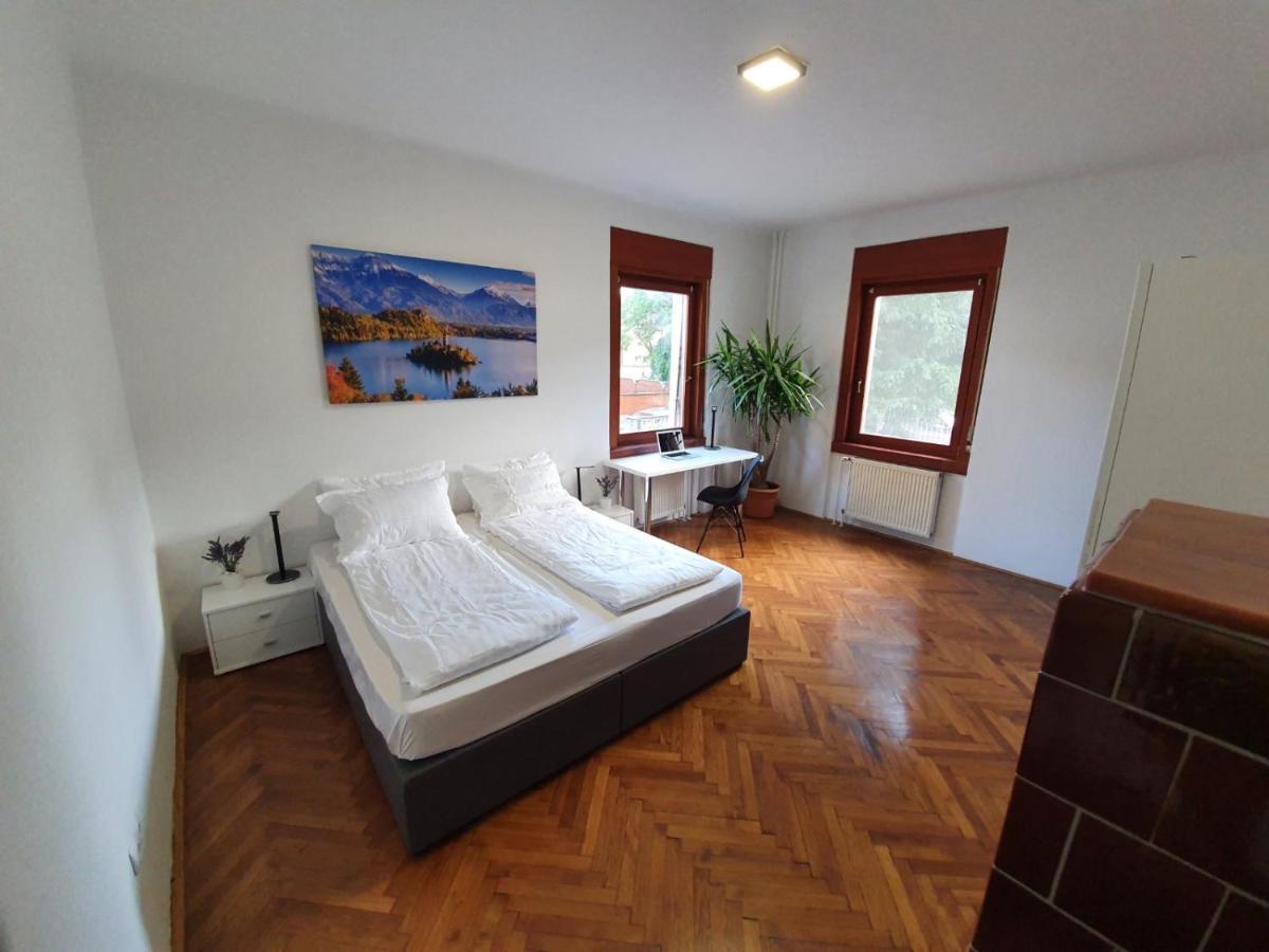 Huge Bbq Garden 2, Spacious Flat, Ac, Free Parking 2 Lublaň Exteriér fotografie