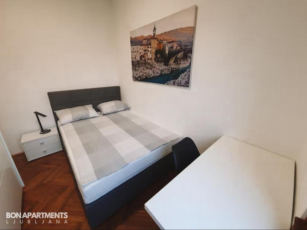 Huge Bbq Garden 2, Spacious Flat, Ac, Free Parking 2 Lublaň Exteriér fotografie