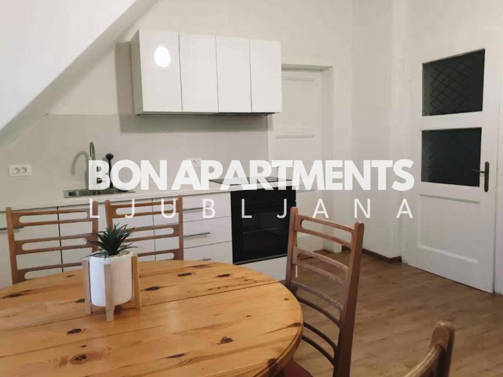 Huge Bbq Garden 2, Spacious Flat, Ac, Free Parking 2 Lublaň Exteriér fotografie