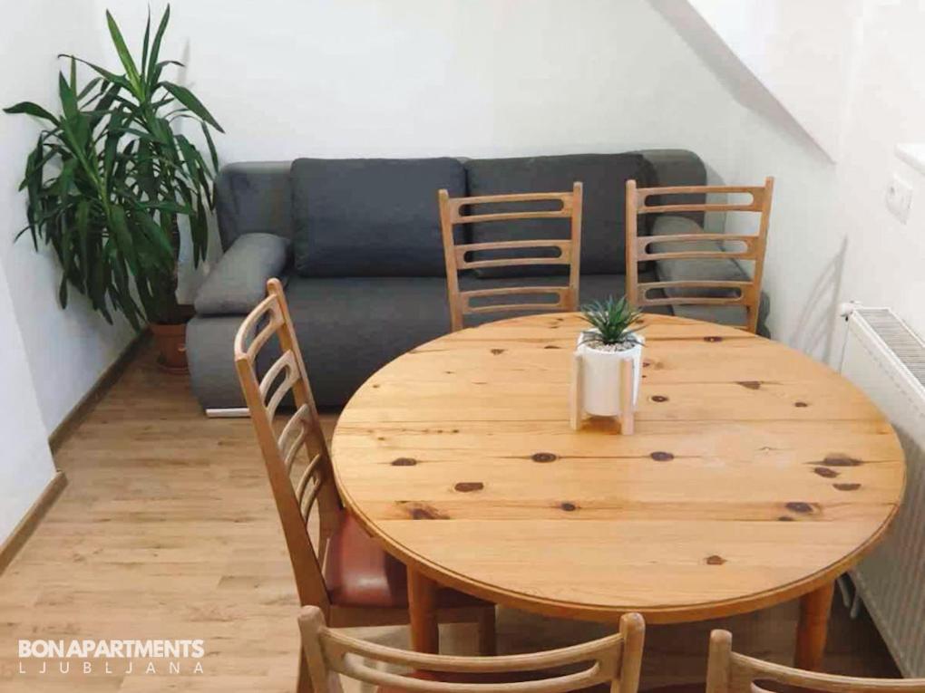 Huge Bbq Garden 2, Spacious Flat, Ac, Free Parking 2 Lublaň Exteriér fotografie